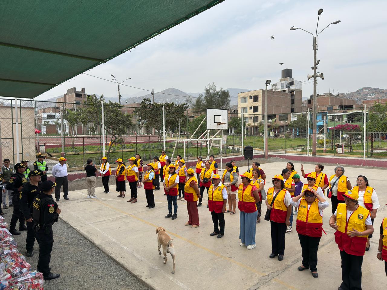 Foto 5